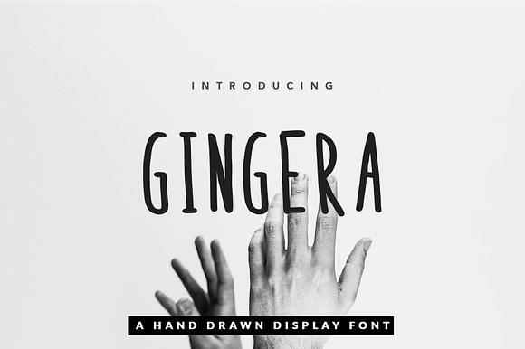 Gingera Font Suite for Book & Text preview 6