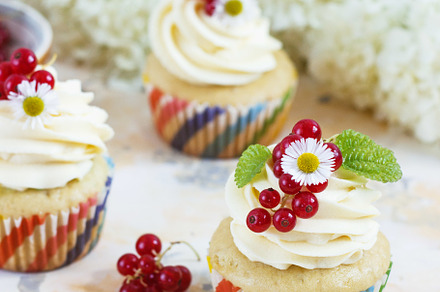 Gentle cupcake with cream and berrie stock photo containing cream and cupcake