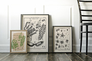 Les Botaniques No 1, a Decorative Illustration by French Kiss Collections (Thumbnail 6 of 6)