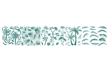 Sketch tropical palm trees. Hand, an Object Illustration by Nenahliadava Design