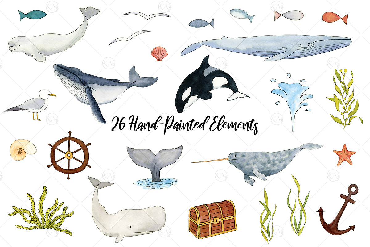 Watercolor Whales Graphics, an Illustration by Kileen Nicole Art (Photo 2 of 5)