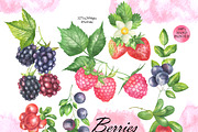 Wild Berry Watercolor Clipart, a Food Illustration by OlDm_Shop (Thumbnail 2 of 8)