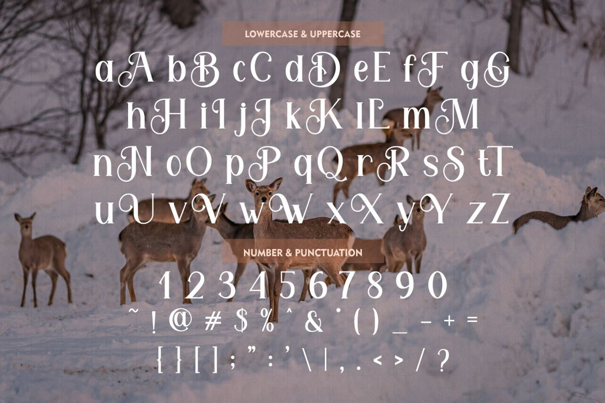 Feldberg - Elegant Luxury Serif Font, a Serif Font by PutraCetol Studio (Photo 7 of 11)