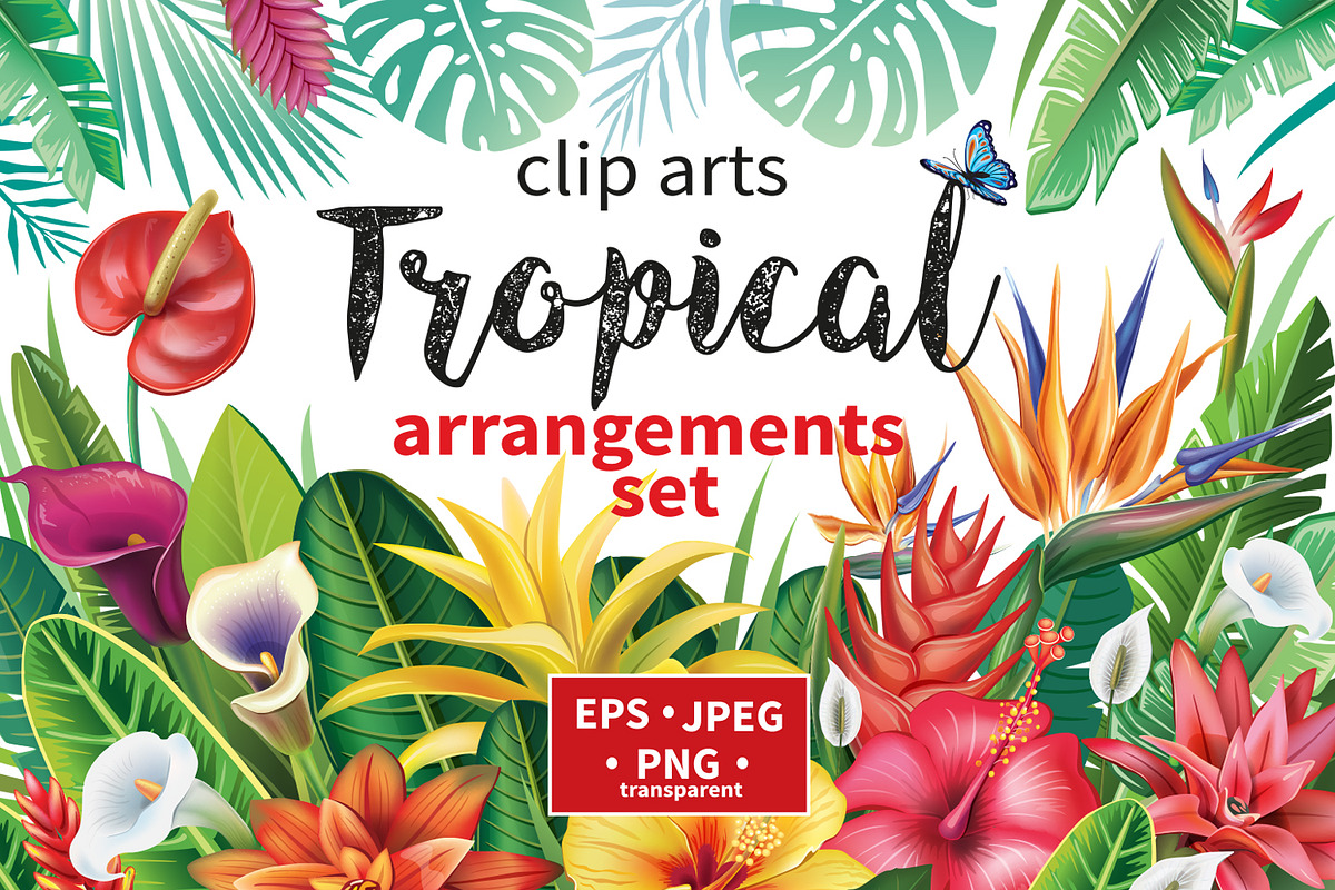 Tropical floral arrangements, a Seasonal Illustration by ViktoriaARTprint (Photo 1 of 8)