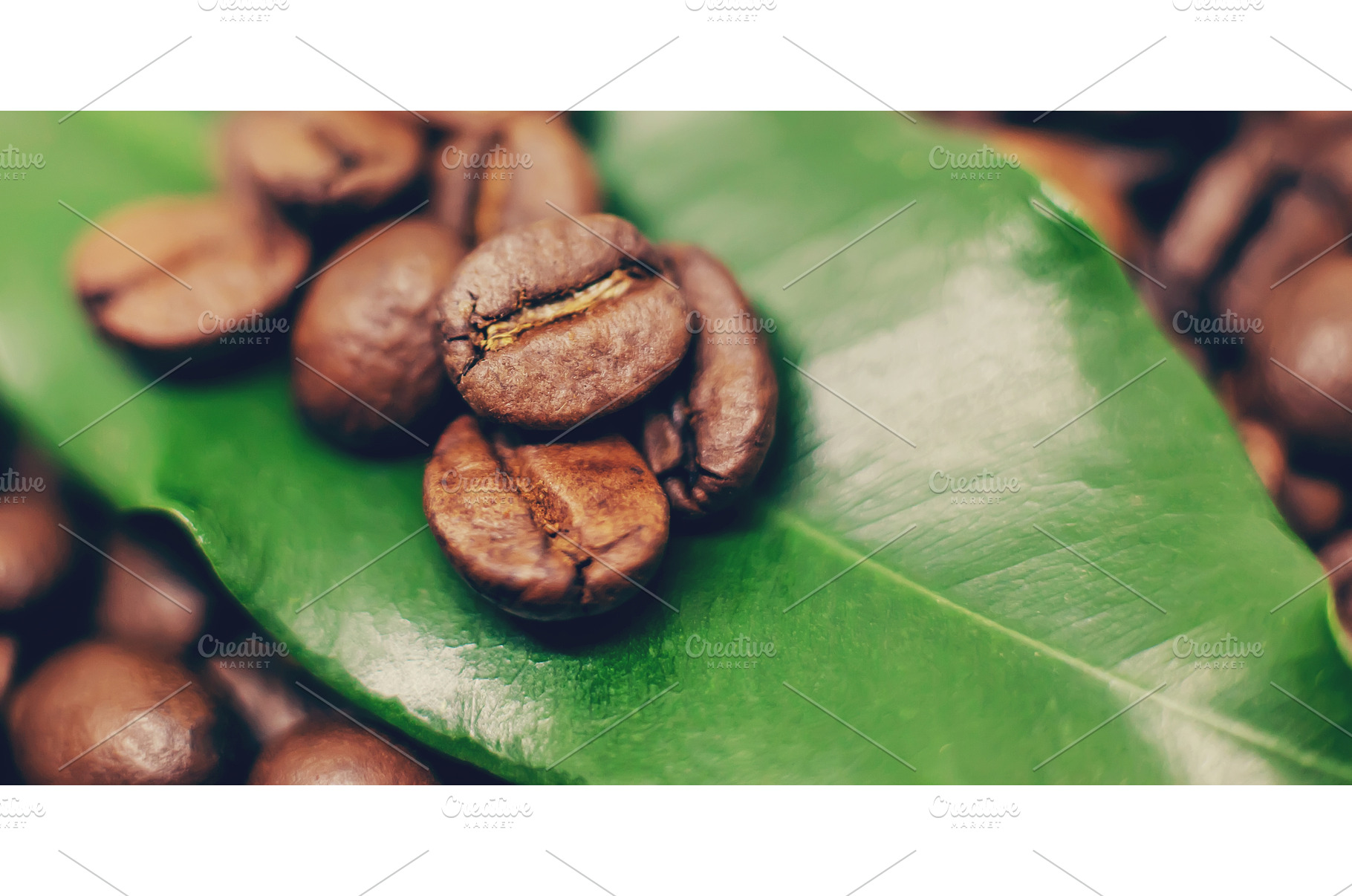 Coffee beans roasted close-up. Drink, a Food & Drink Photo by yanadjana