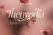 Thenyodia – Font Family, a Serif Font by NDNL Studio (Thumbnail 1 of 12)