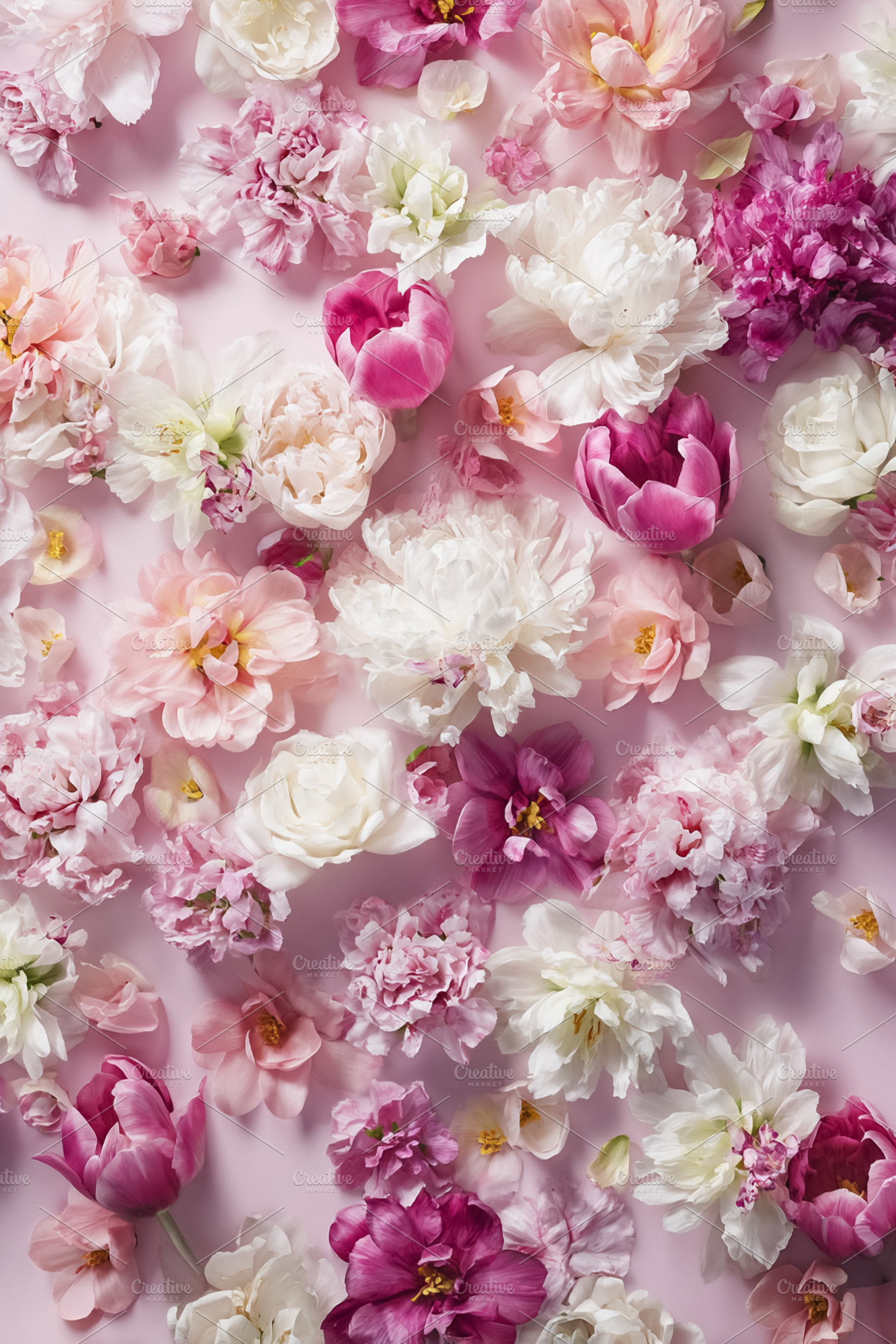 Pink and white flowers blooming, creating a vibrant spring or we, a Photo by Studio ANNA