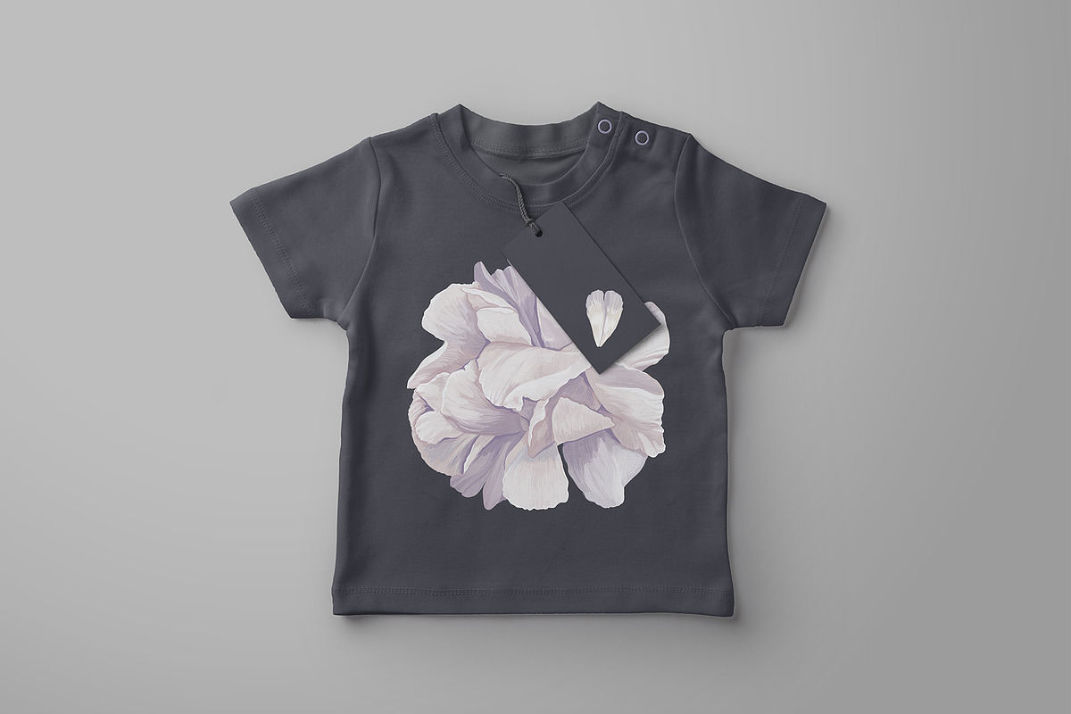 White Realistic Peonies Set, a Decorative Illustration by MarynaPetrovska (Photo 10 of 16)