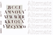 NEIMA, a Serif Font by Bagerich Type Foundry (Thumbnail 11 of 15)