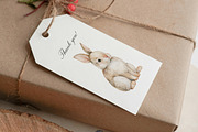 Woodland Atelier Clipart Bundle, an Animal Illustration by PaintPixelCo (Thumbnail 12 of 15)