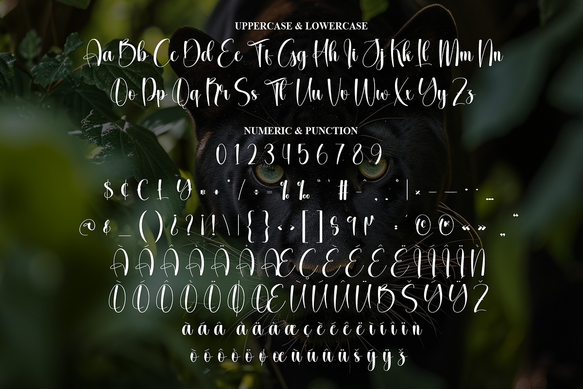 Panther | Script Font, a Handwritten Font by Scratchones (Photo 7 of 9)