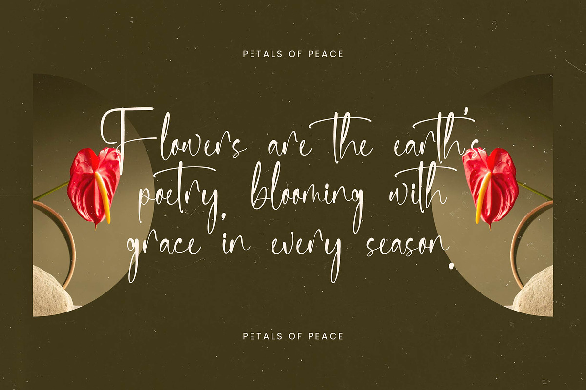 Delicately Stylish Handwritten Font, a Serif Font by stylishtype.co (Photo 3 of 20)