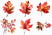 Watercolor Fall Clipart, an Illustration by Libby Wishes (Thumbnail 2 of 6)