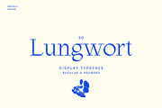 ED Lungwort, a Serif Font by Emyself Design (Thumbnail 1 of 12)
