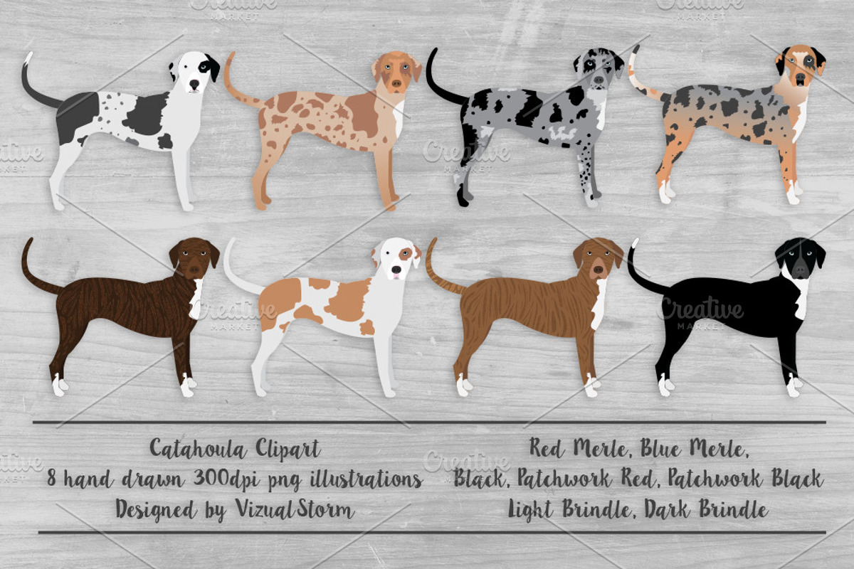 Catahoula Leopard Dog Illustration, an Illustration by VizualStorm