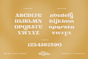 Dorris - Swirly Summer font family, a Slab Serif Font by creativemedialab (Thumbnail 9 of 18)