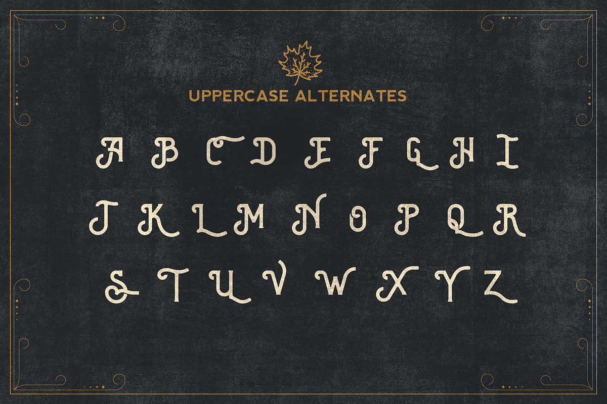 Western Lake - Brewski Typeface preview 8