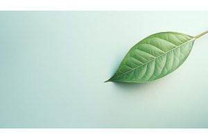 nature leaves product background ai, a Nature Photo by pikepicture
