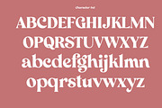 Algebra Ligature Modern Serif, a Serif Font by Luna Shop (Thumbnail 6 of 10)