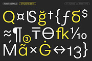 TT Turns, a Sans Serif Font by TypeType (Thumbnail 26 of 26)