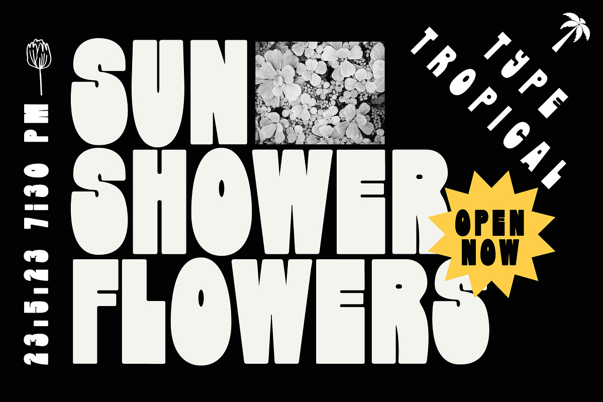 Display Font Collection, a Slab Serif Font by Tropical Type (Photo 28 of 46)