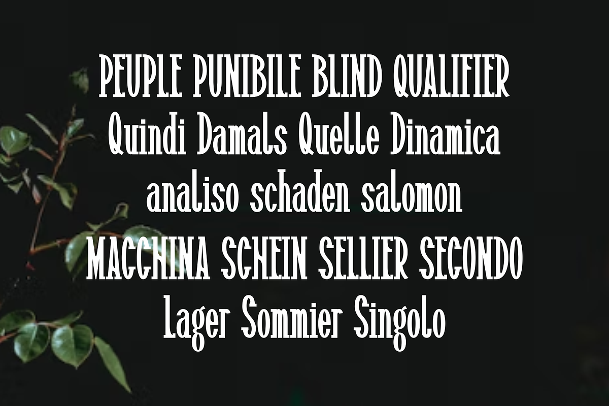 Haidrus, a Serif Font by lelevien (Photo 4 of 5)