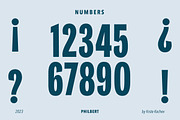 Philbert - Modern Script Font, a Script Font by Kochev Type (Thumbnail 10 of 12)