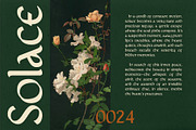 CS Carpin – Uncial Font, a Serif Font by Craft Supply Co. (Thumbnail 6 of 8)