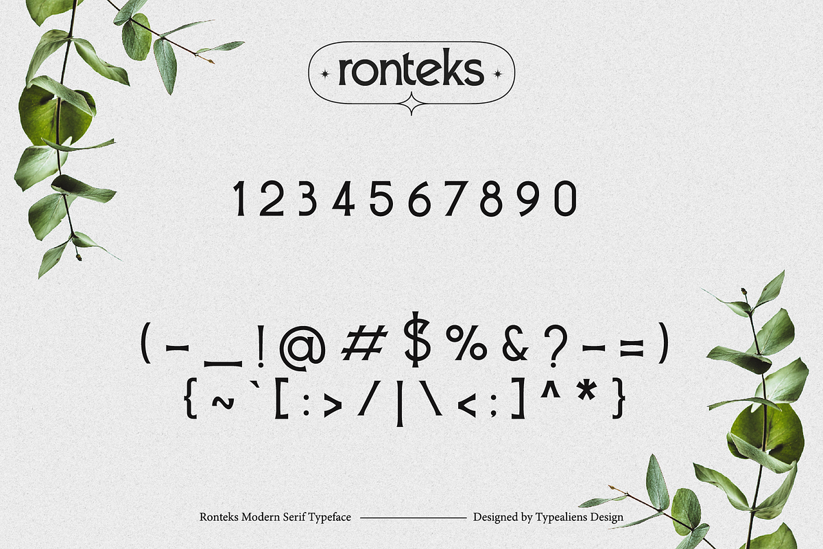 Ronteks, a Serif Font by ilhamtaro (Photo 10 of 12)
