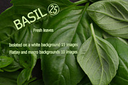 Basil. Isolated on a white., a Photo by Pullia (Thumbnail 1 of 5)