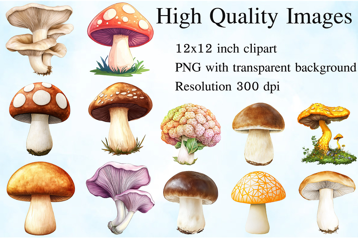 Watercolor Edible Mushrooms Clipart, an Illustration by Craft Nest (Photo 2 of 6)