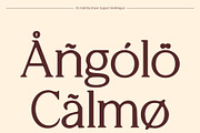 CS Calistha Drawn, a Serif Font by Craft Supply Co. (Thumbnail 5 of 8)