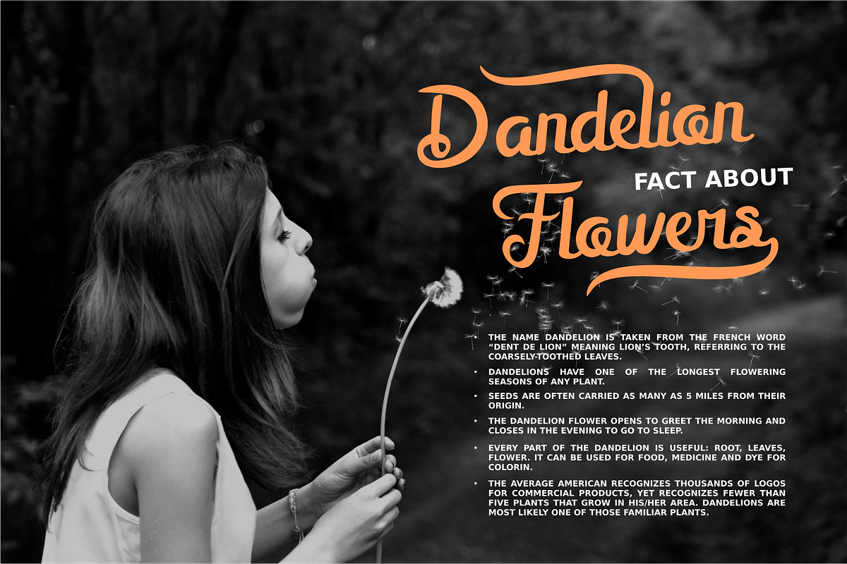 Mellifret script font preview 6