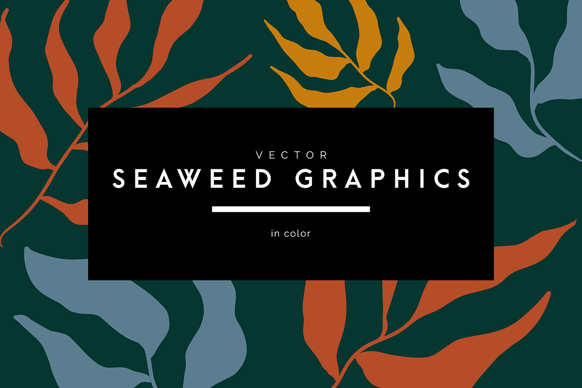 Vector Seaweed Graphics, a Background Graphic by Dorey Kronick Art&Design (Photo 1 of 9)