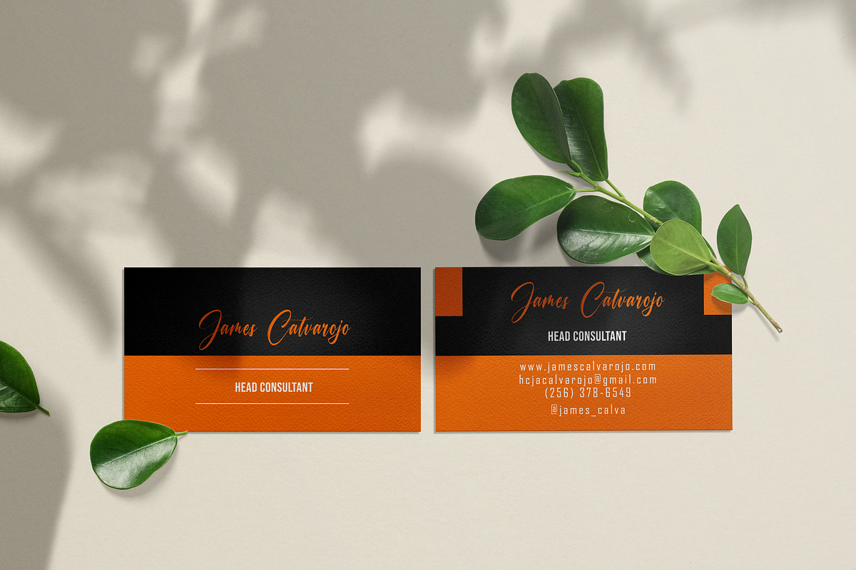 Consultant - Premium Business Card, a Business Card Template by BAUXERdesigns