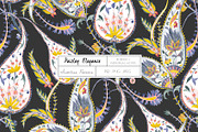 Paisley Elegance, a Pattern Graphic by TSTUDIO (Thumbnail 12 of 12)