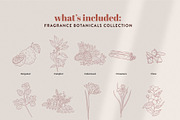 Fragrance Botanicals | 30 designs, an Illustration by amber&ink (Thumbnail 2 of 8)