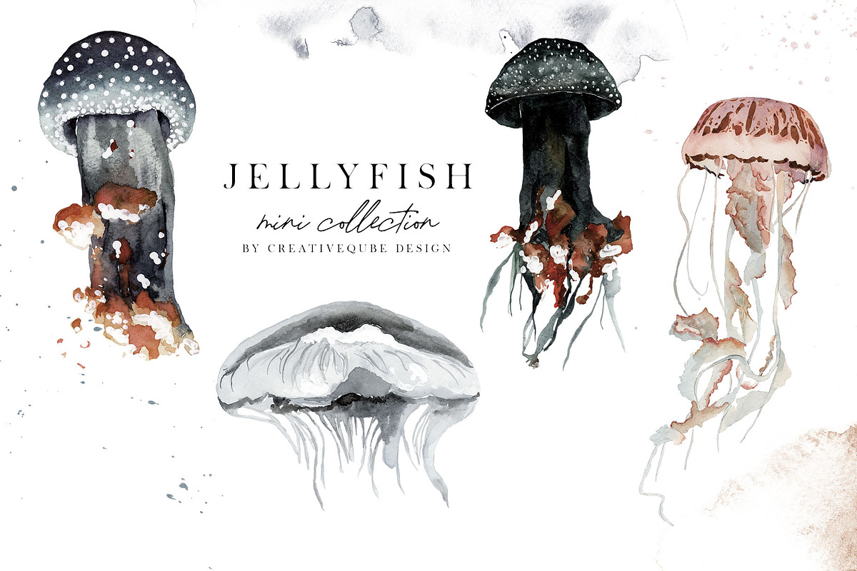 Jellyfish Watercolor mini Collection, an Animal Illustration by Creativeqube Design