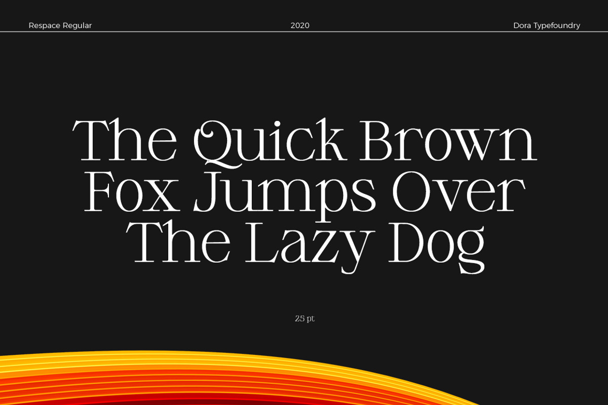Respace, a Serif Font by Dora Typefoundry (Photo 14 of 21)
