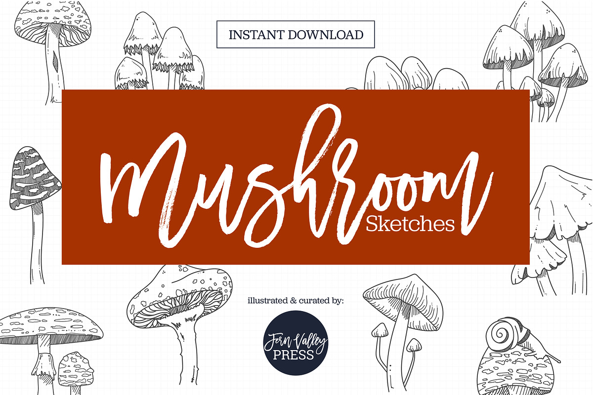 Mushroom Sketch Clipart Collection, an Illustration by Hannah Eliza Studio (Photo 1 of 5)