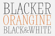 Rostef Thin, a Serif Font by glukfonts (Thumbnail 5 of 6)