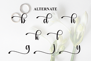 Wedding | Script Font, a Handwritten Font by Scratchones (Thumbnail 8 of 9)
