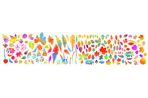 Set of colored leaves of different, an Object Illustration by Nenahliadava Design