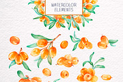 Sea-buckthorn, watercolor collection, an Illustration by Mallinka (Thumbnail 2 of 11)