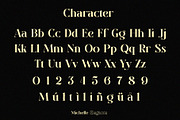 Michelle Elegante, a Serif Font by INKSUN™ (Thumbnail 8 of 10)
