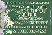 Benfica Royale Modern Serif Font, a Serif Font by timelesstype.co (Thumbnail 19 of 20)