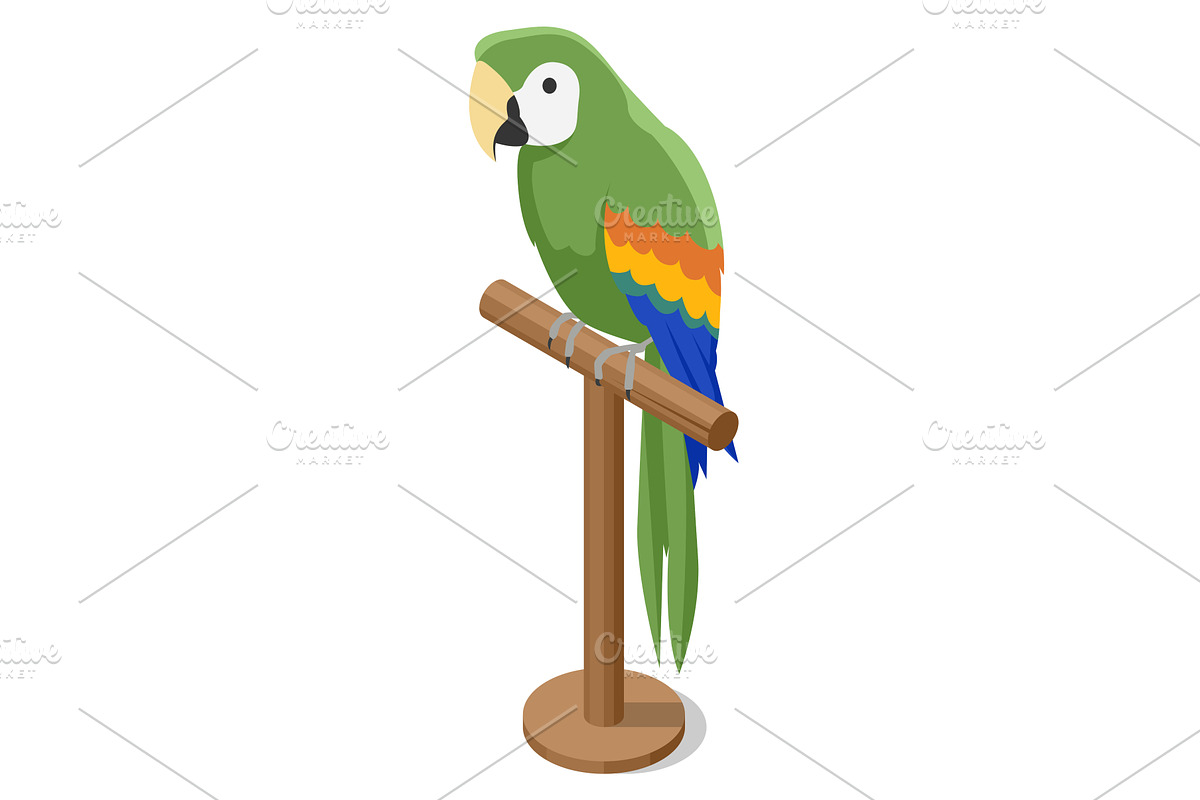 Green Parrot on Perch. A vibrant, an Animal Illustration by Golden Sikorka