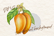 Botanical Style Mango Illustration, a Food Illustration by Milla_Zelenyuk_art (Thumbnail 3 of 5)