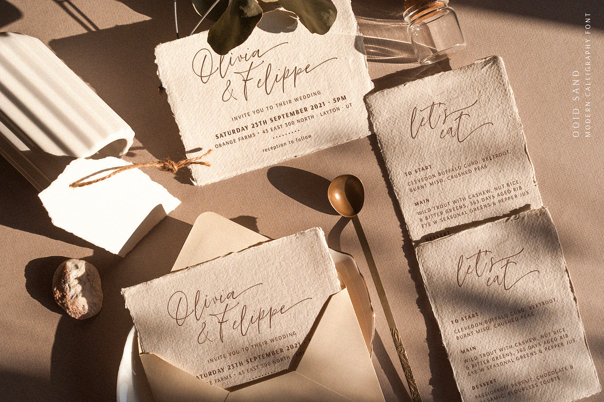 Ooid Sand Calligraphy Script Font preview 3