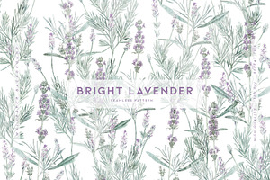 Bright Lavender